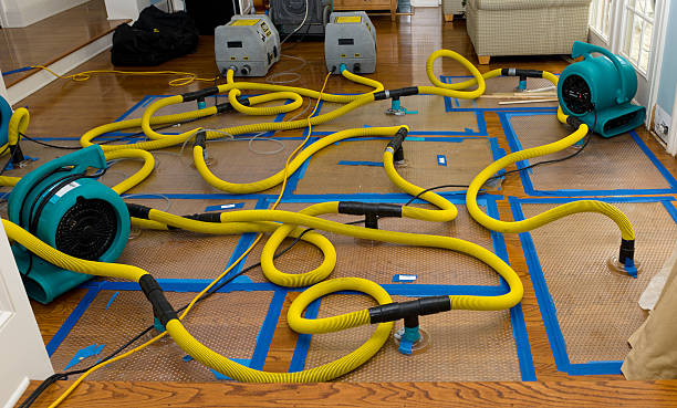 Professional Basement Flood Cleanup technician working in Elk Point, SD